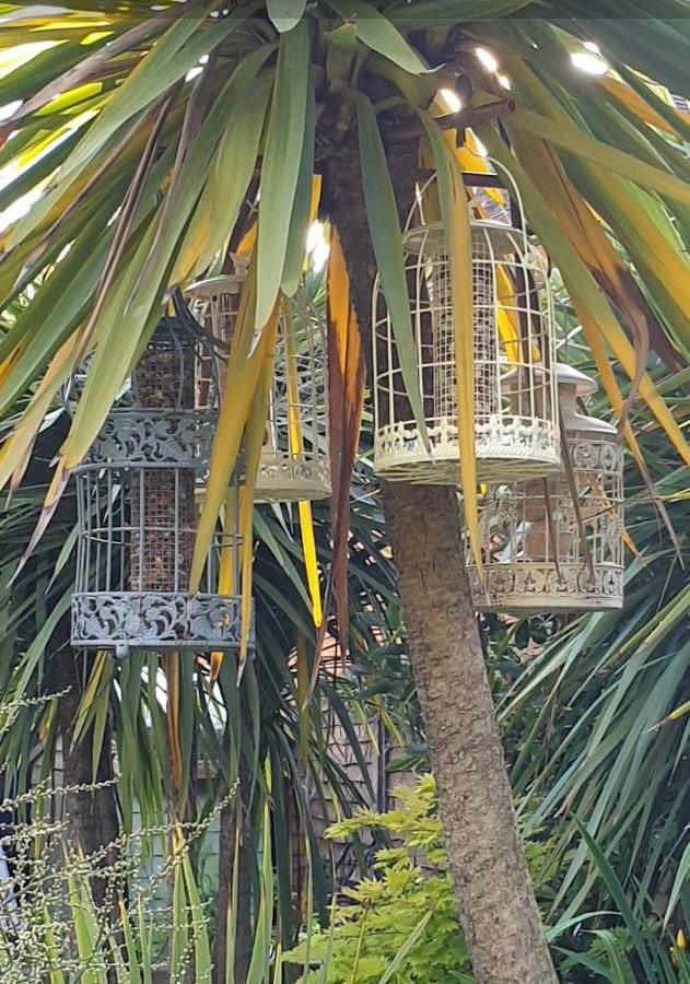 Tropical Garden Oasis Rooms バーミンガム エクステリア 写真